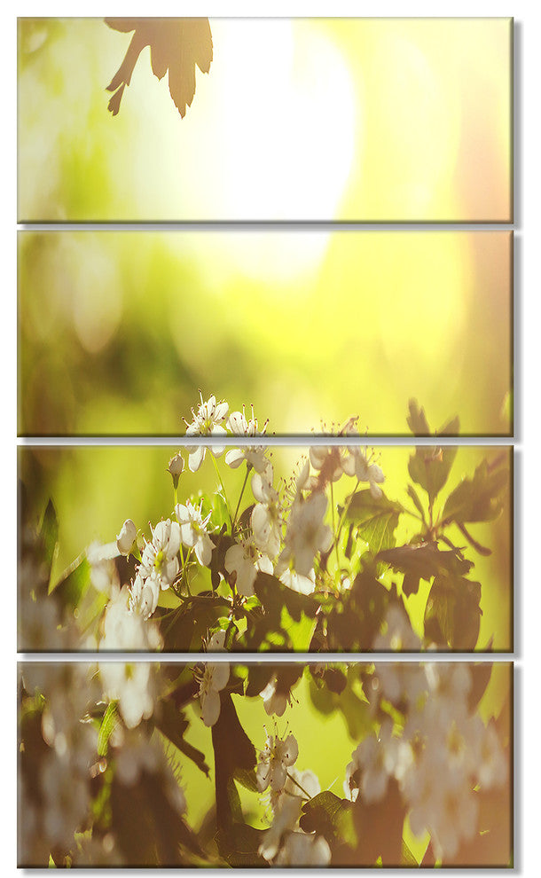 Blossom Cherry on Green Background, Floral Canvas Art Print, 28"x48", 4 Panels