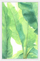 "Wild Banana Leaves" Framed Painting Print, 16"x24"