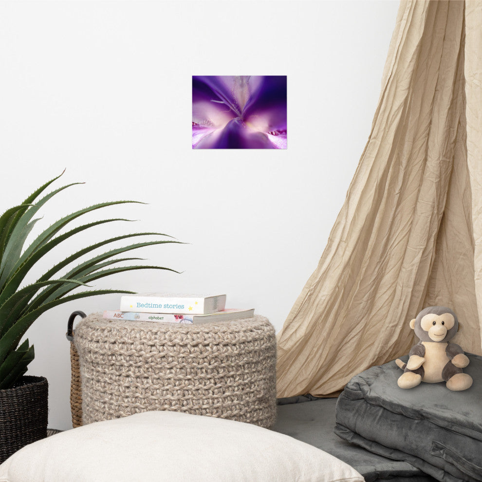 Iris Center Petals Nature Photography, Floral Unframed Wall Art Print, 8" X 10"