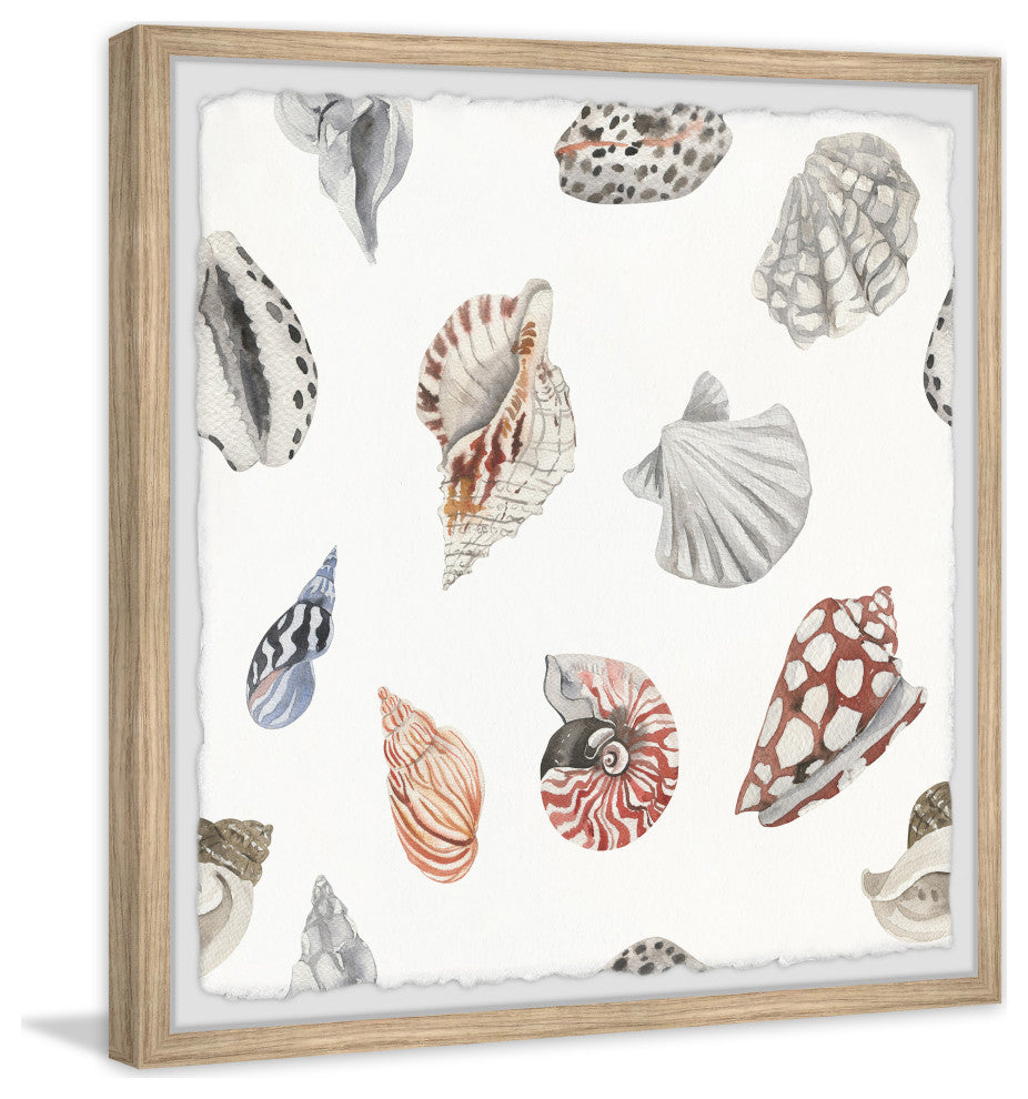 "Classic Seashells" Framed Painting Print, 18x18