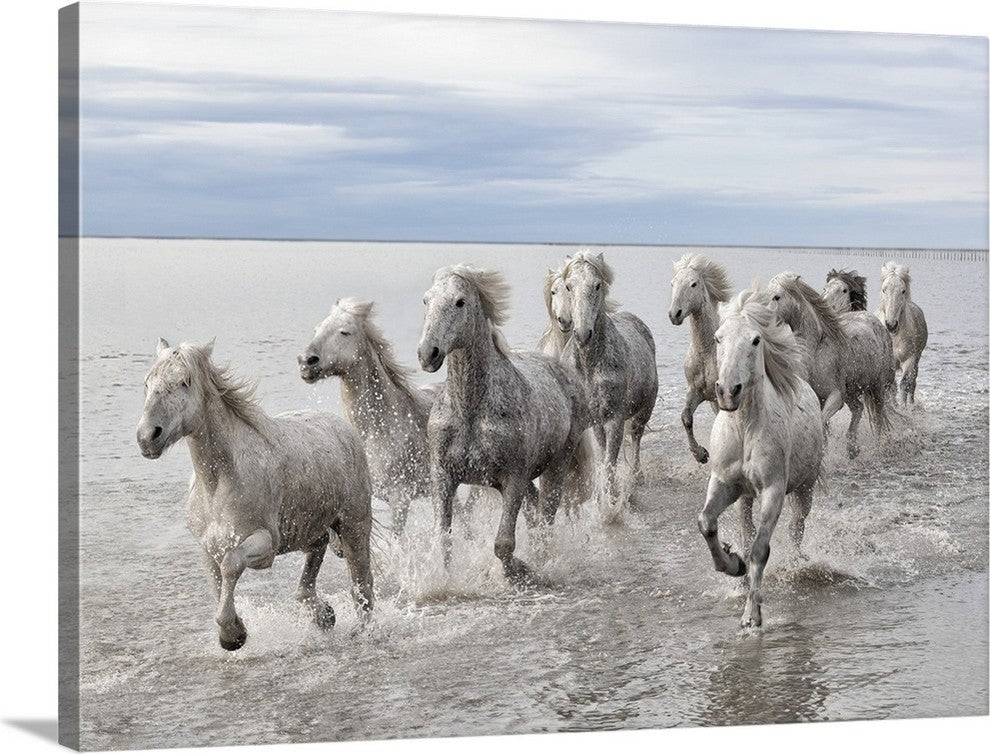 "Run on the water " Wrapped Canvas Art Print, 30"x22"x1.5"