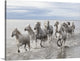 "Run on the water " Wrapped Canvas Art Print, 30"x22"x1.5"