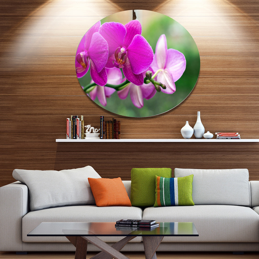 Beautiful Orchid Flowers On Green, Modern Flower Round Wall Art, 38"