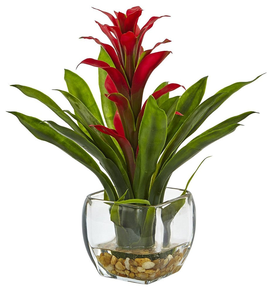 Bromeliad With Glass Vase Arrangement, Red