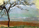 Claude Oscar Monet Landscape at Giverny, 18"x27" Wall Decal Print