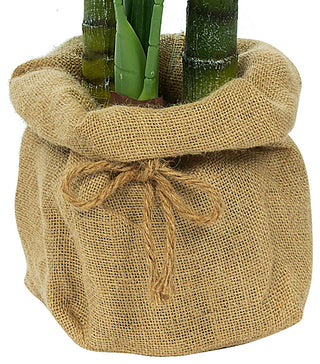 50.39" Artificial Palm Plant, Planter, Set of 2