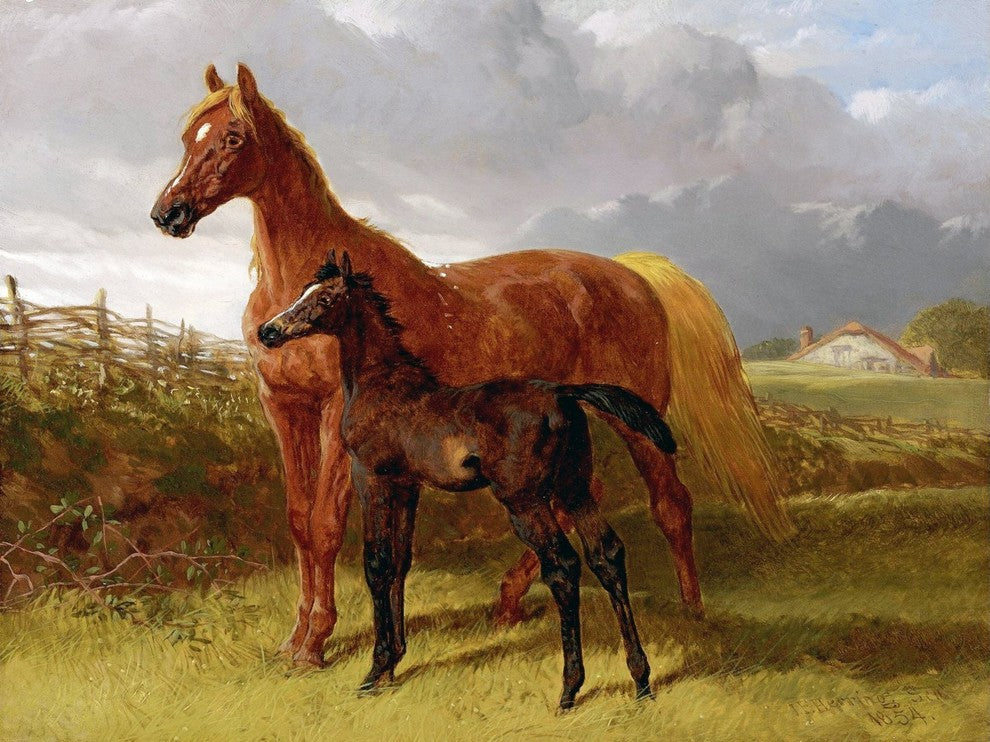 Tile Mural, A Chestnut Mare and Foal in A Field By John Frederick Herring Matte