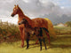 Tile Mural, A Chestnut Mare and Foal in A Field By John Frederick Herring Matte