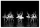 ''Ballerinas'' Canvas Art by Martha Guerra