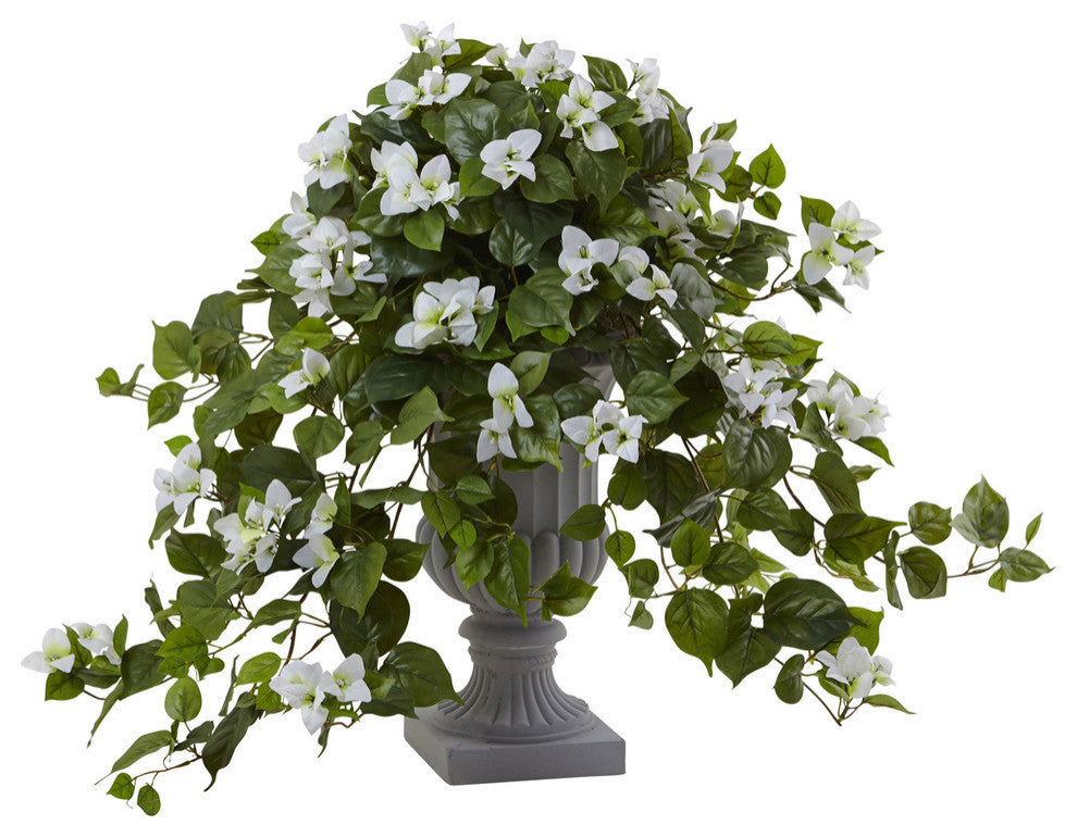 Bougainvillea With Decorative Urn
