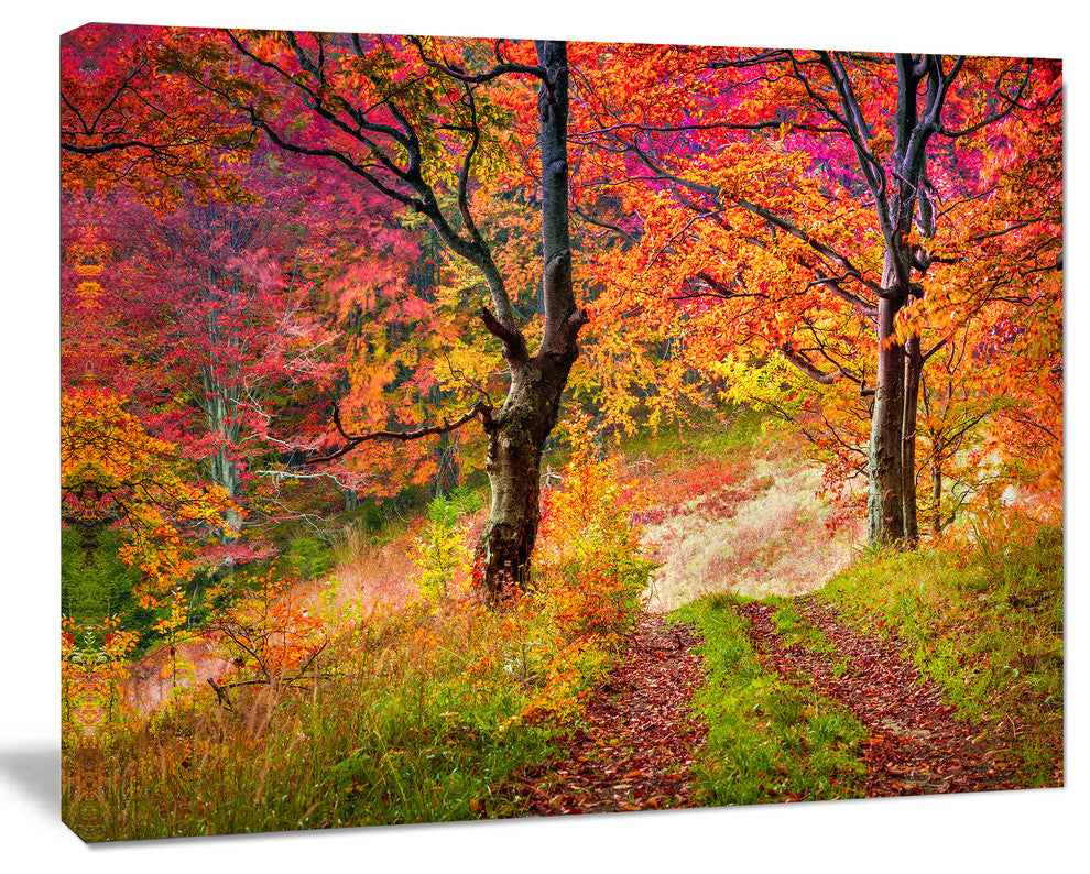 Bright Colorful Fall Trees in Forest, Landscape Canvas Art Print, 60"x28"