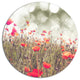 Red Poppy Flowers Meadow, Floral Large Disc Metal Wall Art, 23"