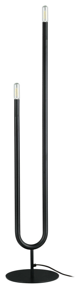 Wand Modern 2 Light Matte Black Metal Floor Lamp