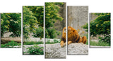 Big Lion Lying On Stones in Zoo, Landscape Canvas Art Print, 60"x32", 5 Panels