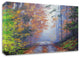Autumn Forest by Graham Gercken, Print on Canvas, 14"x11"