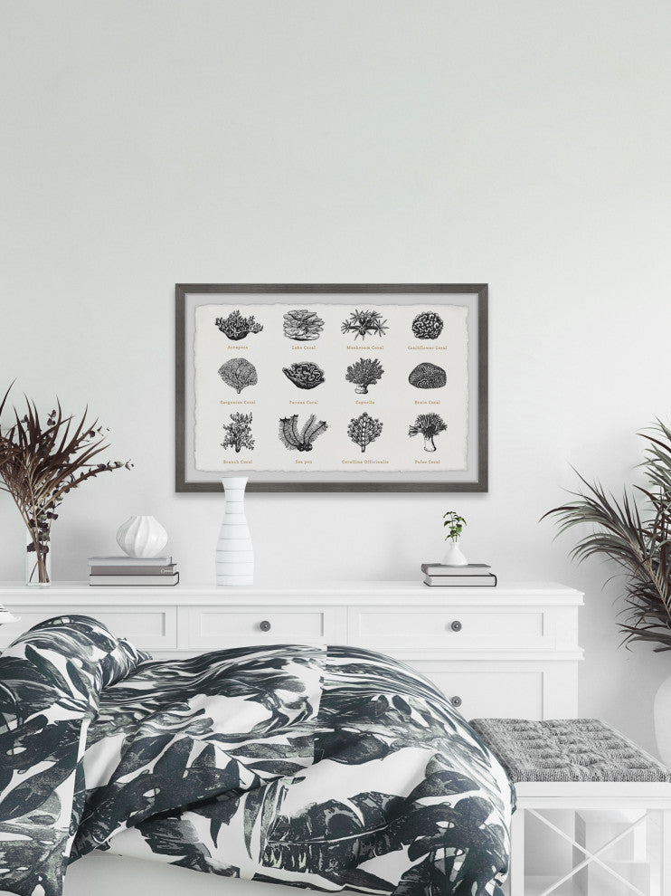 "Coral Collection" Framed Painting Print, 36x24