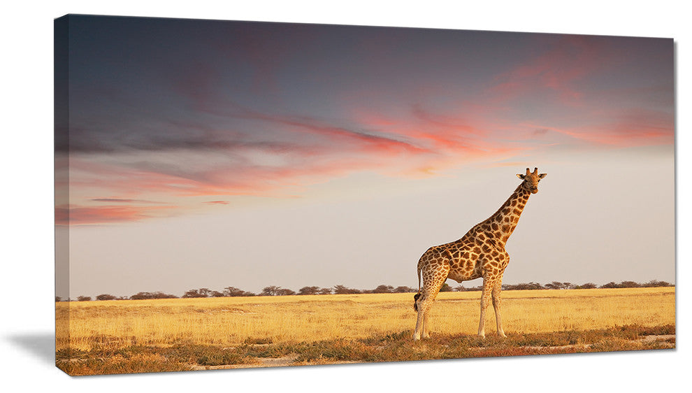 Single Giraffe in Savannah, African Canvas Art Print, 32"x16"