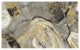 "Painted Desert Phoenix Neutral" Digital Paper Print by Albena Hristova, 32"x20"