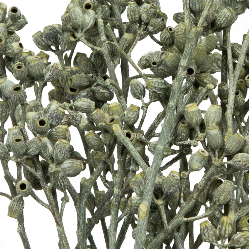 Vickerman H1Eyp150 Botanicals 12"X1-3" Eucalyptus Clusters Stem Green Frosted
