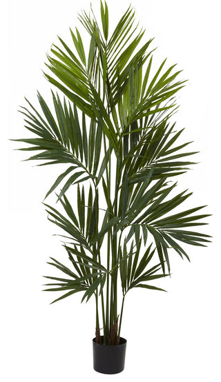 7' Kentia Palm Silk Tree