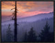 Sunset Over Forest, Crater Lake National Park, Oregon, 16"x12"