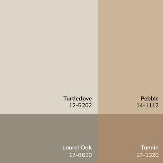 Galey Alix x Livabliss GAHU-2304 Area Rug,Dusty Sage,Ivory,Brown, Tan,6'7"x9'6"