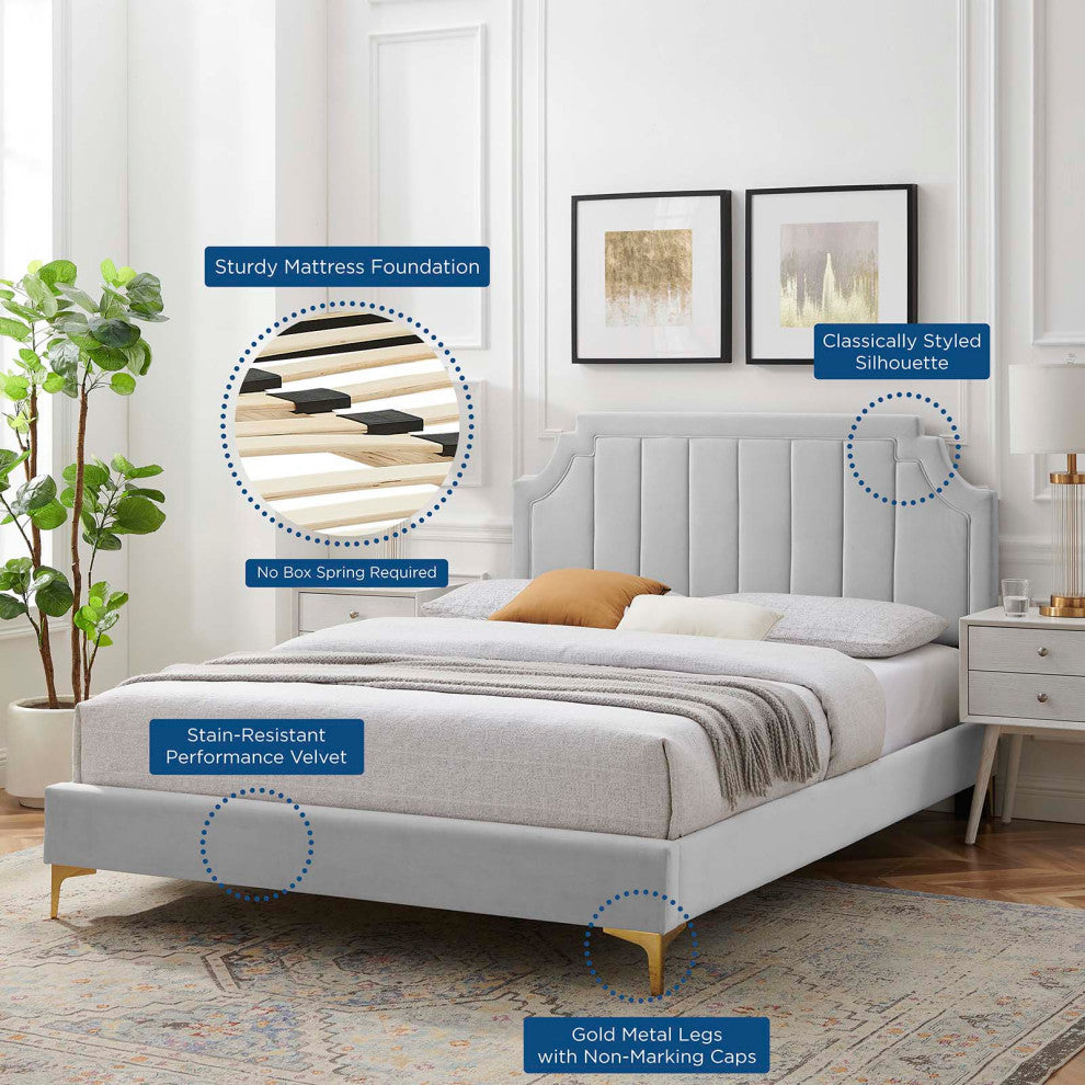Platform Bed Frame, Queen Size, Velvet, Light Grey Gray, Modern Contemporary
