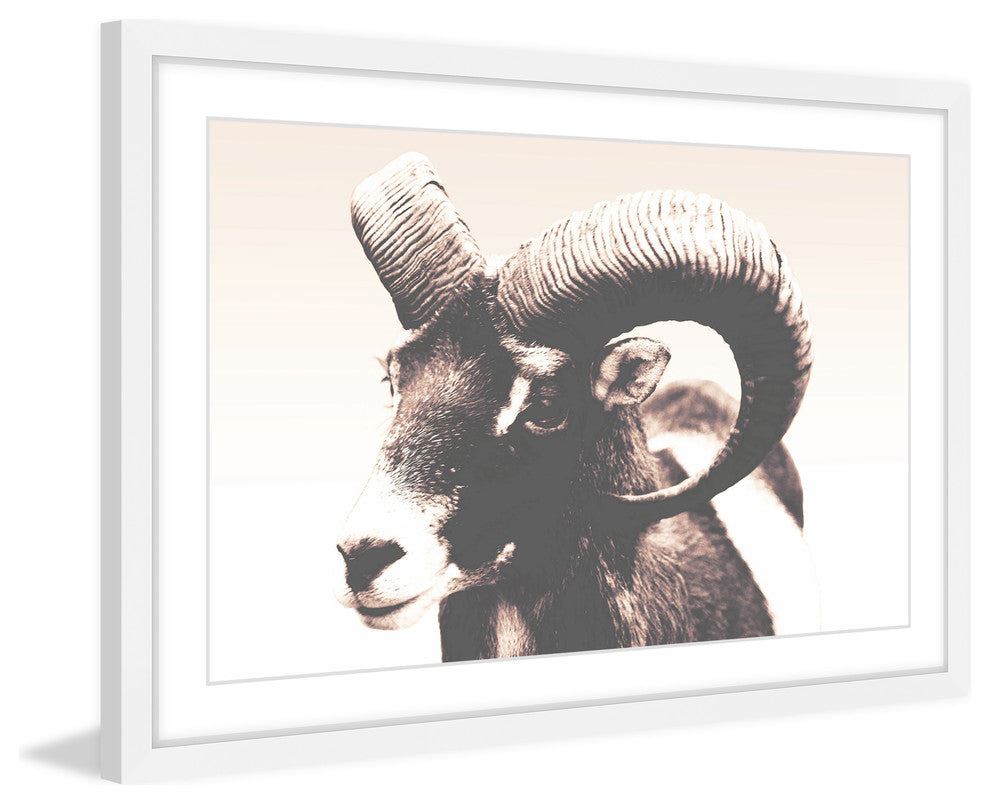 Marmont Hill, "Eye of Ram" Framed Painting Print, 36x24