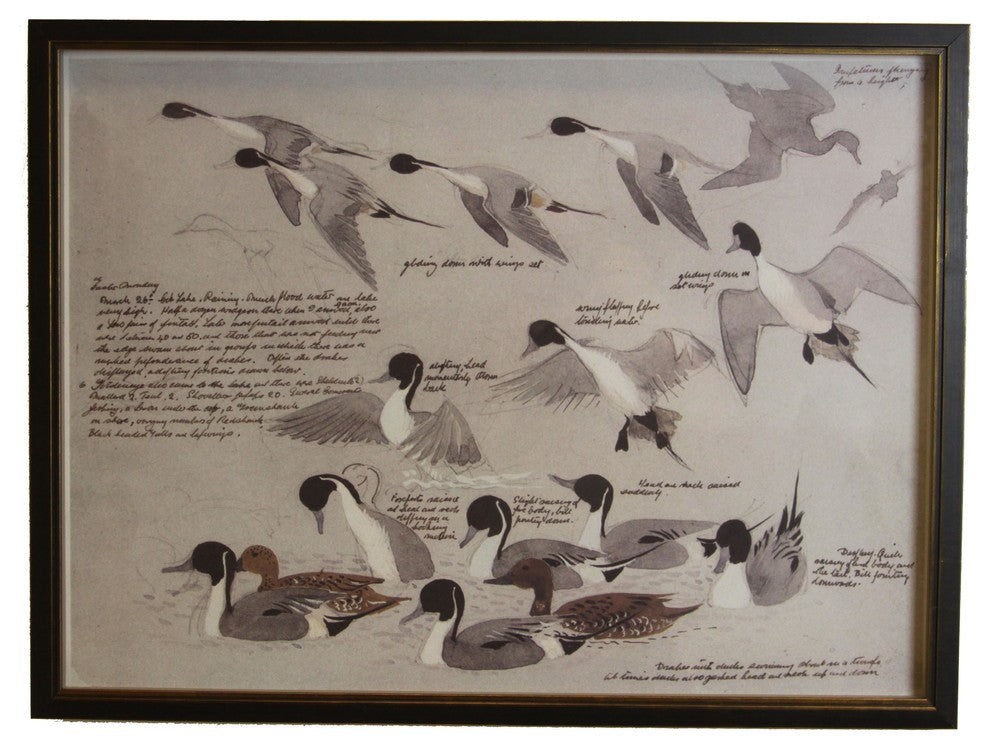 Black And White Flying Ducks, Copper And Black Shadowbox
