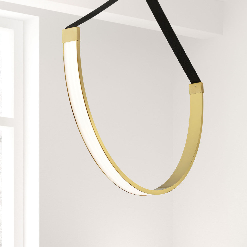 Regan Contemporary 1 Light Aged Brass Black Metal Pendant