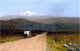 William Lamb Picknell Mountain Landscape With Coach Wall Decal