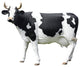 Grand Scale Holstein Statue