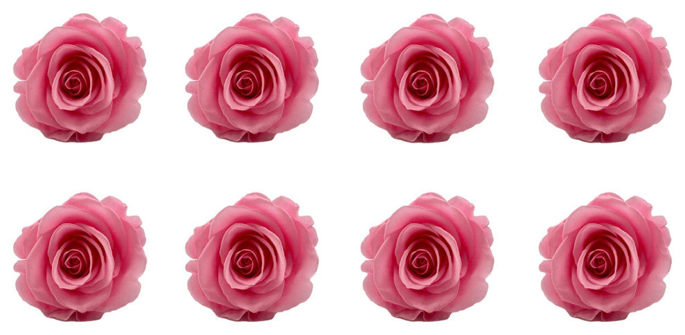 Regular Preserved Roses, Set of 8, Bridal Pink
