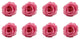Regular Preserved Roses, Set of 8, Bridal Pink
