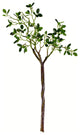 Vickerman Fa193730 30" Artificial Mini Leaves Spray