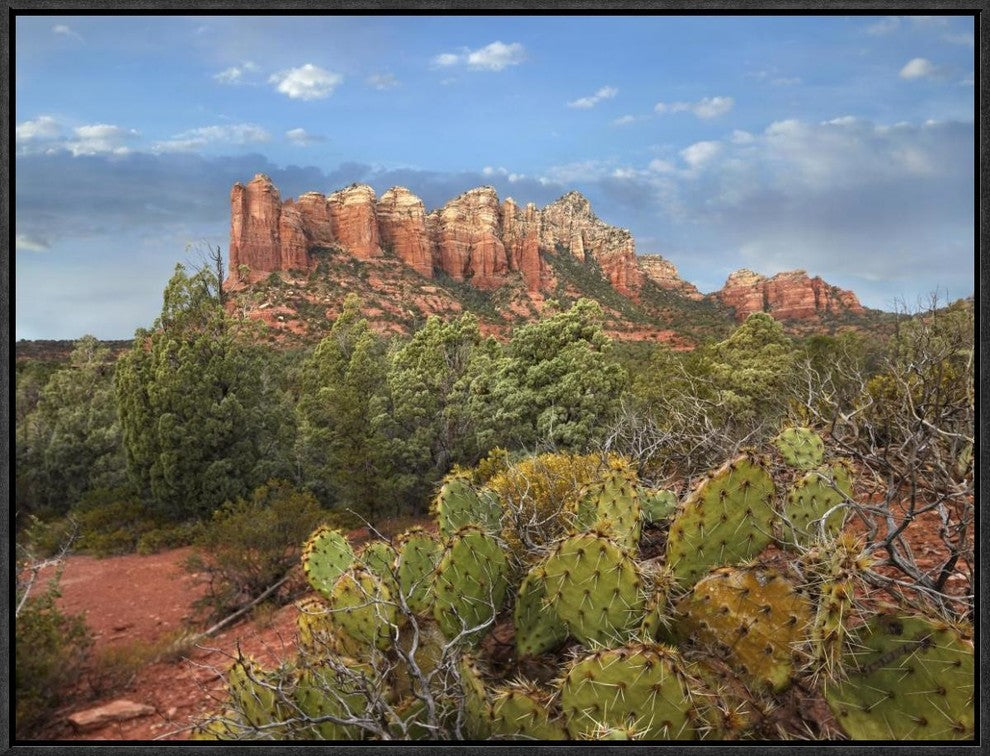 "Coffee Pot Rock near Sedona, Arizona"  by Tim Fitzharris, 25x19"