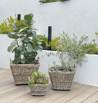 Rattan Kobo Square Planter Basket In&Outdoor, Large