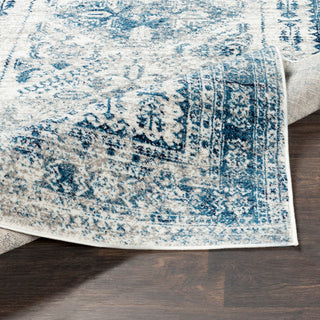 Monte Carlo Updated Traditional Sky Blue, Light Gray Area Rug, 7'10"x10'3"