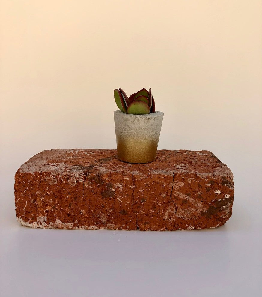 Mini Concrete Planters, Set of 10, Gold Faded