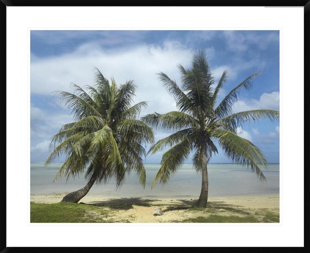 "Palm trees, Agana Beach, Guam" Framed Digital Print by Tim Fitzharris, 40x32"