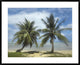 "Palm trees, Agana Beach, Guam" Framed Digital Print by Tim Fitzharris, 40x32"