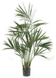 5' Kentia Palm Silk Tree