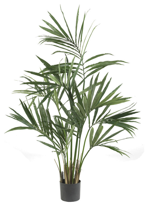 5' Kentia Palm Silk Tree
