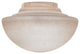 myFanimation Glass Globe - Tea Stain