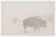 Marmont Hill, "Herd in the Fog" Framed Painting Print, 24x16