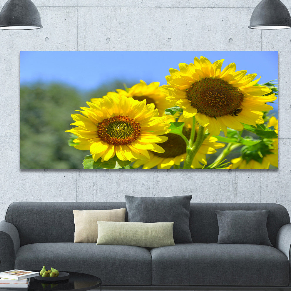Beautiful Sunflowers View, Large Floral Canvas Art Print, 60"x28"