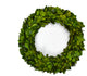 Boxwood Mini 10" Wreath, (2 Piece Set)