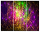 Purple Green Symphony of Colors, Abstract Wall Art Canvas, 36x28, 3 Panels