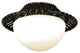 Fanimation Light Kit, Antique Bamboo, White Glass - LK112A