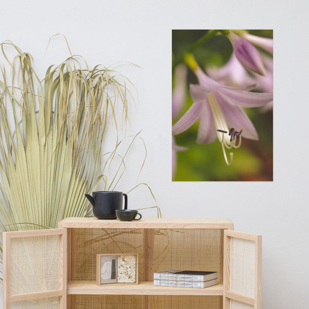 Close-up Hosta Bloom Nature Photography, Floral Unframed Wall Art Print, 24" X 36"